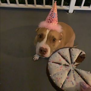 Meet your Posher, Mary jessica